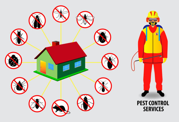 Illustrative image for spider repeller plug in