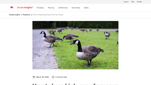 State Farm - Bird Control Solutions