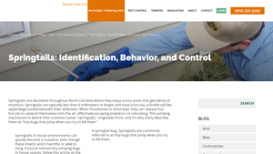 Stomp Pest Control - Springtail Control Packages
