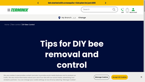 Terminix - DIY Bee Removal Solutions