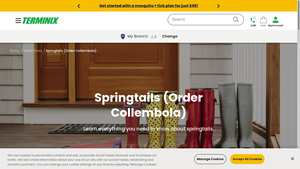 Terminix - Springtails Control