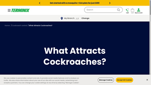 Terminix - Cockroach Control Solutions