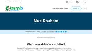 Termio - Mud Dauber Control