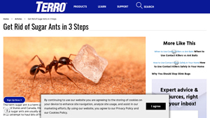 TERRO® - Liquid Ant Baits