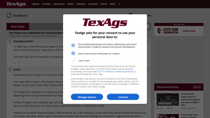 Texags - Mud Dauber Repellents