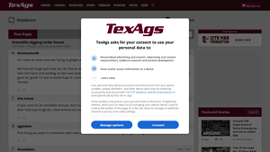 Texags - Wooden Armadillo Traps & Victor Mole Repellent