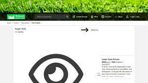 Terro - Maxforce FC Ant Bait Gel