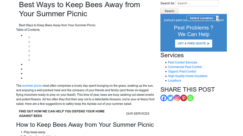 Best Ways to Keep Bees Away from Your Summer Picnic