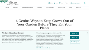 The Spruce - Crow Deterrent Solutions
