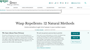 The Spruce - Natural Wasp Repellents