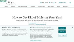 The Spruce - Effective Mole Control