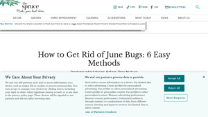 The Spruce - June Bug Control Solutions