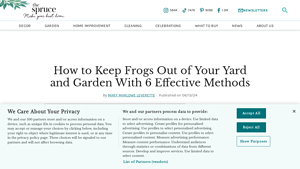 The Spruce - Water Feature Removal Guide