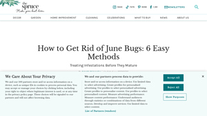 The Spruce - June Bug Control Solutions