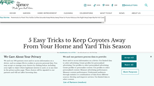 The Spruce - Coyote Deterrent Solutions