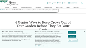 The Spruce - Effective Crow Deterrents