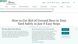 The Spruce - Ground Bee Control