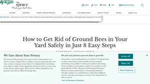 The Spruce - Ground Bee Control