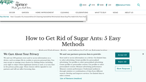 The Spruce - Natural Ant Repellent