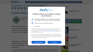 ThriftyFun - Ground-Nesting Insect Control Solutions