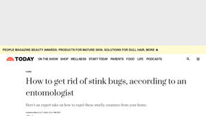 Today.com - Effective Stink Bug Removal Methods