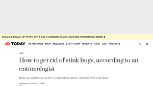 Today - Stink Bug Removal Solutions