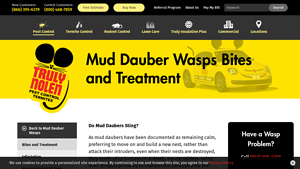Truly Nolen - Mud Dauber Wasps Control