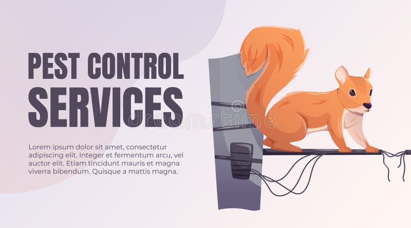 Illustrative image for ultrasonic pest repeller squirrels