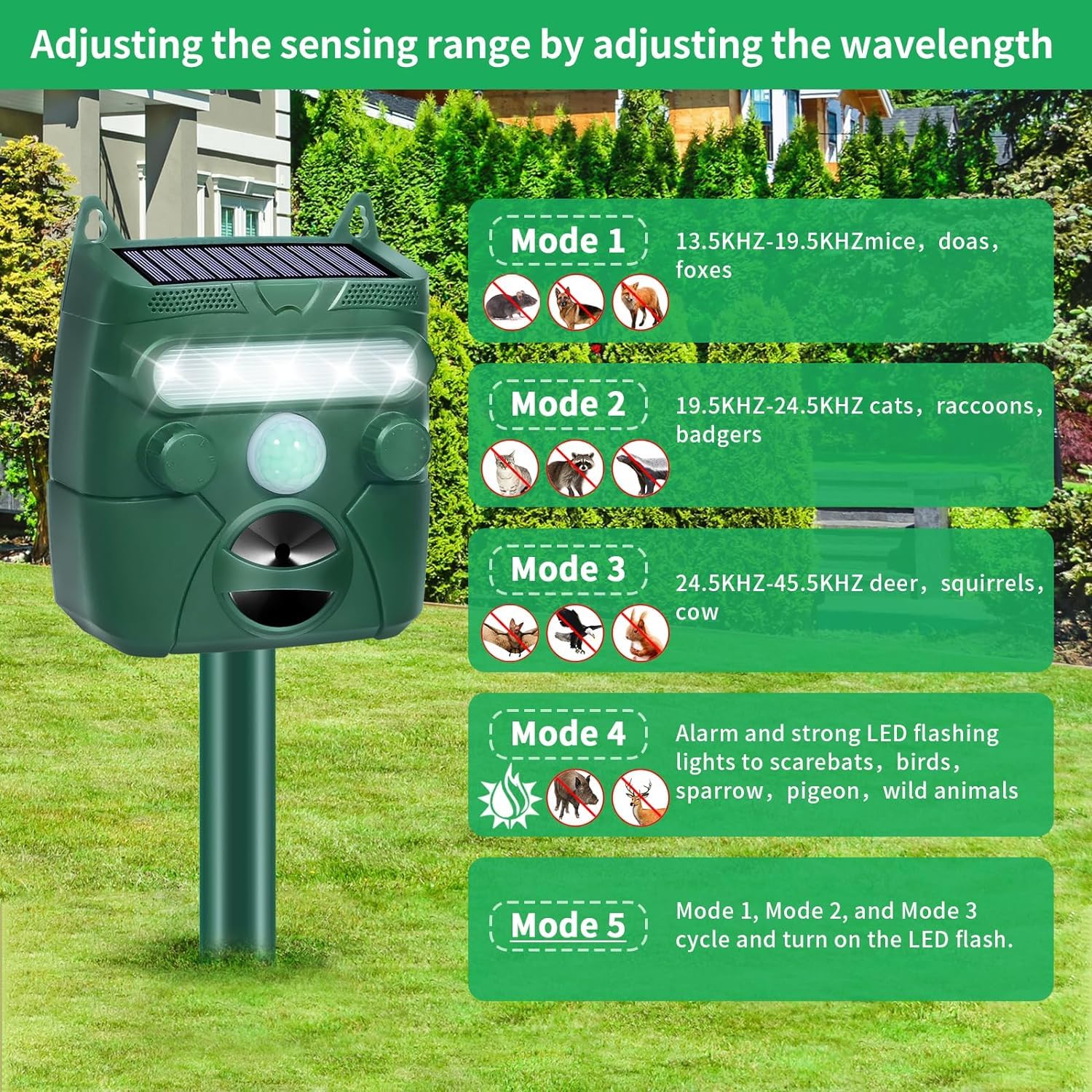 Illustrative image for ultrasonic raccoon repellent