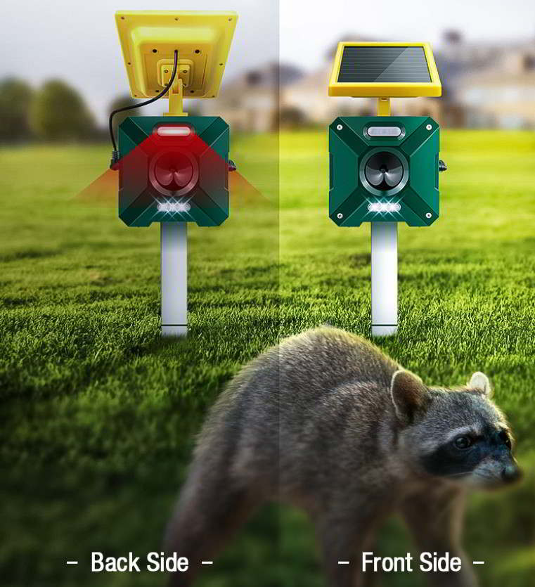 Illustrative image for ultrasonic raccoon repellent