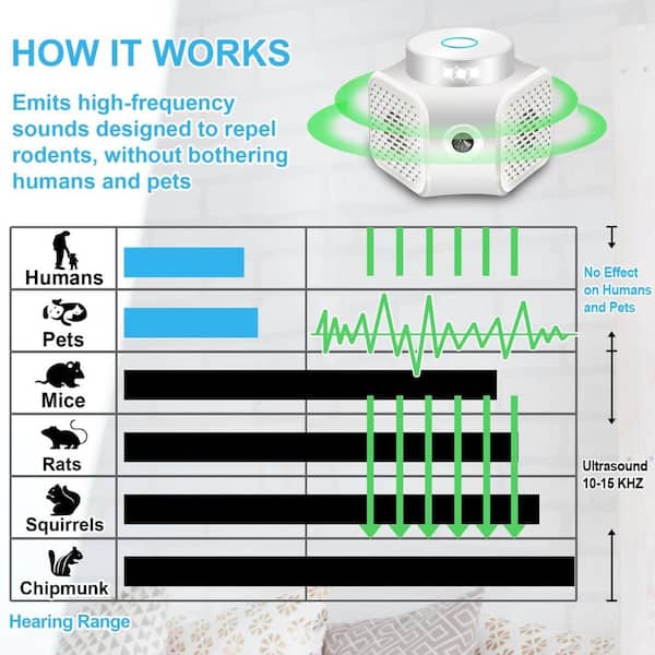 Illustrative image for ultrasonic repeller squirrels