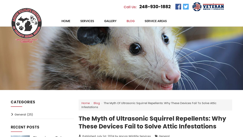 The Myth of Ultrasonic Squirrel Repellents - Ancon Wildlife Services
