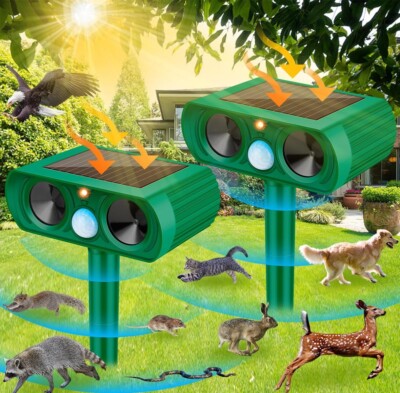 Illustrative image for ultrasonic squirrel repeller outdoor