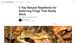 Vocal Media - Frog Deterrents