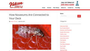 Vulcan Termite - Pest Control Solutions