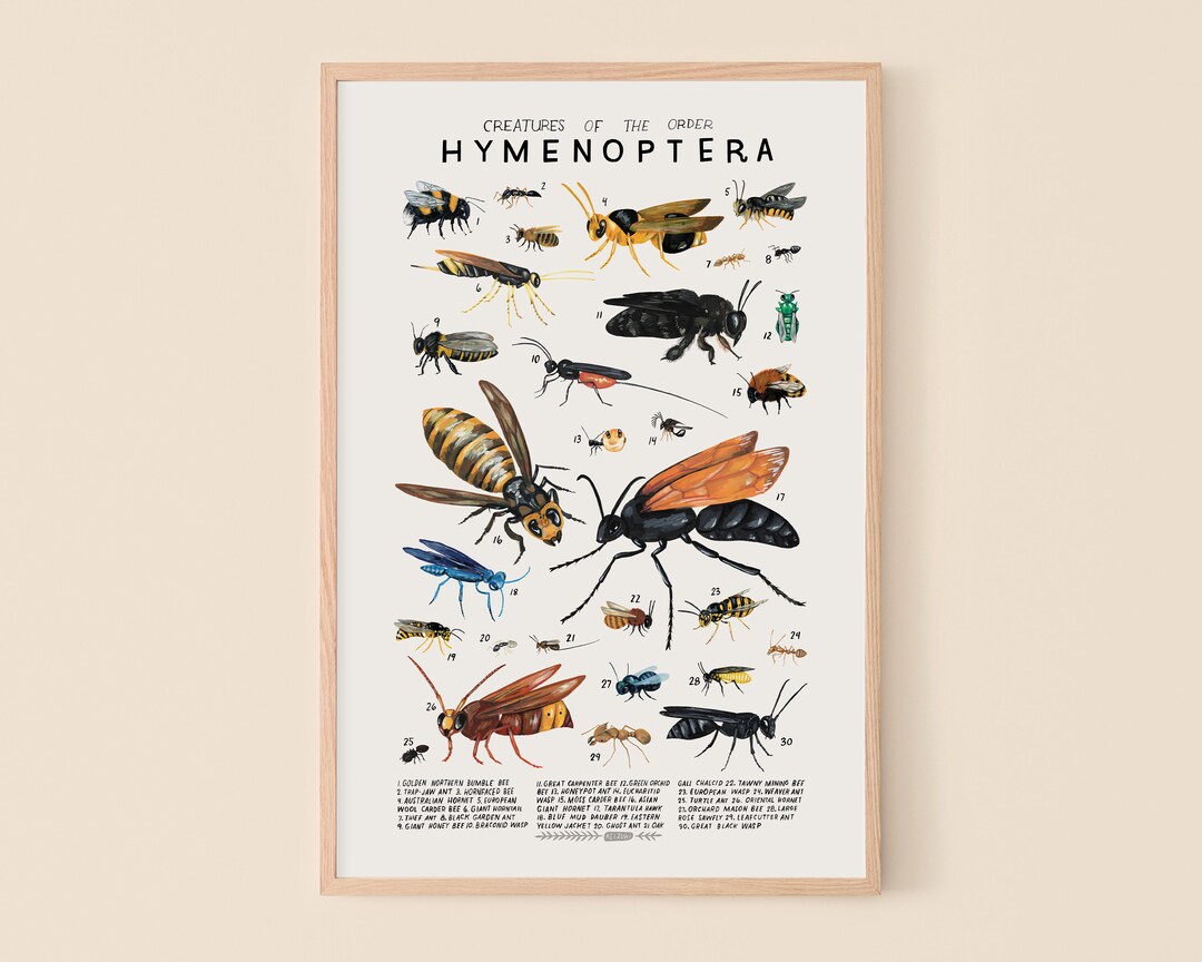 Illustrative image for ward off bees and wasps