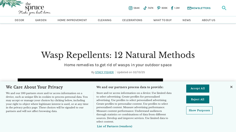 Wasp Repellents: 12 Natural Methods - The Spruce