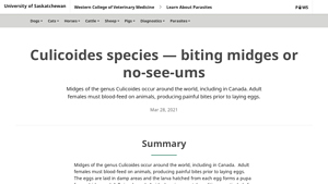 WCVM - Biting Midges Research