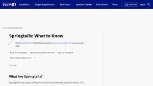 WebMD - Springtail Control Tips