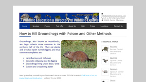 Wildlife Animal Control - Groundhog Management Solutions