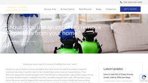 Wild Removal - Animal Inspection & Removal Services