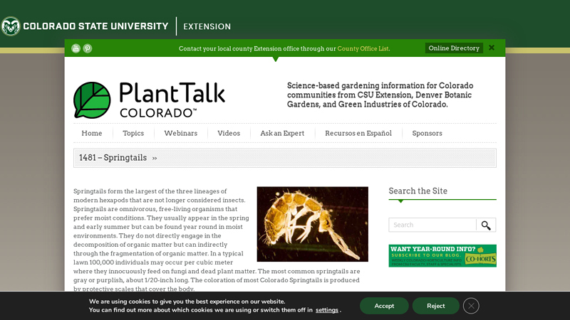 1481 – Springtails - PlantTalk Colorado