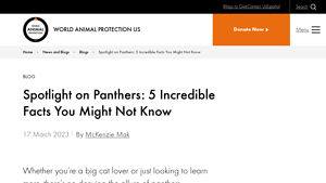 World Animal Protection - Panther Conservation Donations