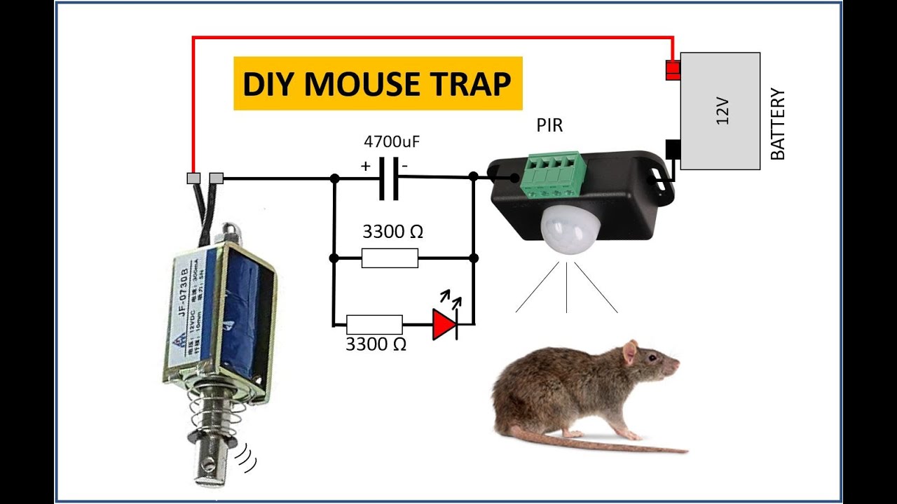 Illustrative image for zapper traps for mice